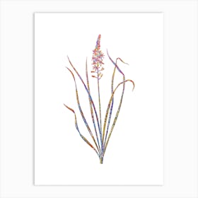 Stained Glass Wild Asparagus Mosaic Botanical Illustration on White n.0226 Art Print