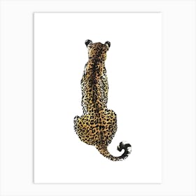 Leopard Isolated Art Print