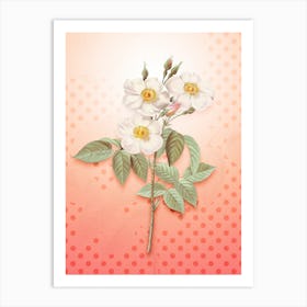 Rose of Castile Vintage Botanical in Peach Fuzz Polka Dot Pattern n.0018 Art Print