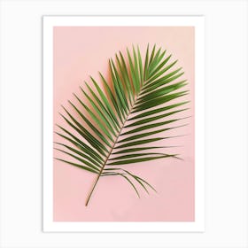 Palm Leaf On Pink Background Art Print