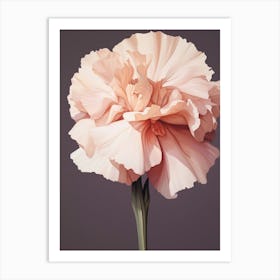 Floral Illustration Carnation Dianthus 3 Art Print