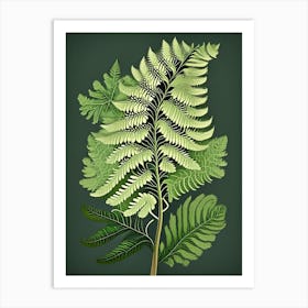 Southern Maidenhair Fern Wildflower Vintage Botanical Art Print