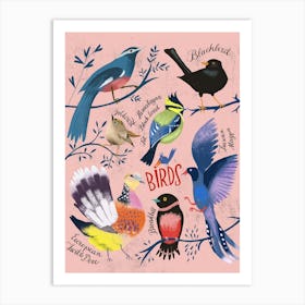 Chart Of Birds Art Print