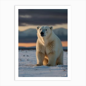 Polar Bear 1 Art Print