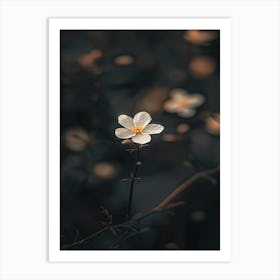 White Flower In The Dark 24 Art Print