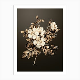 Gold Botanical White Candolle Rose on Chocolate Brown n.4140 Art Print