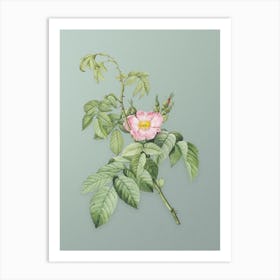 Vintage Apple Rose Botanical Art on Mint Green n.0842 Art Print
