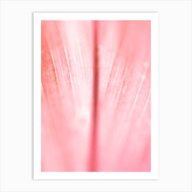 Pink Leave Art Print