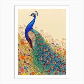 Pencil Crayon Peacock In The Meadow Art Print