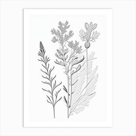 Astragalus Herb William Morris Inspired Line Drawing 1 Art Print