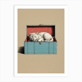 Cat In A Box 1 Art Print