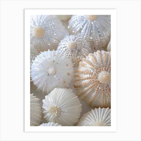 Seashells Art Print