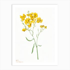 Yellow Flowers 2 Art Print