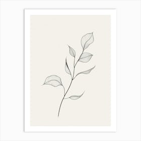 Leaf On A Branch Art Print