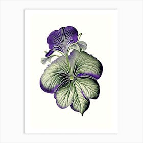 Sweet Violet Leaf Vintage Botanical 3 Art Print