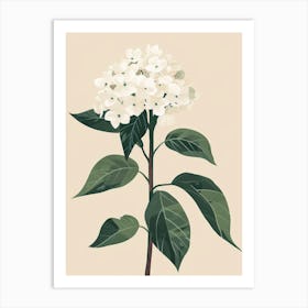 Hydrangea 14 Art Print