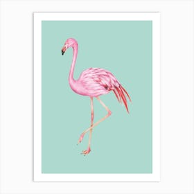 Pink Flamingo 1 Art Print