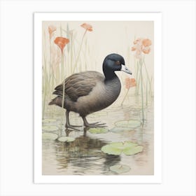 Vintage Bird Drawing Coot 1 Art Print