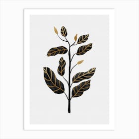 Black Gold Still Life II Art Print