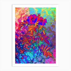 Shining Rosa Lucida Botanical in Acid Neon Pink Green and Blue n.0343 Art Print