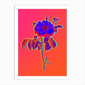 Neon Speckled Provins Rose Botanical in Hot Pink and Electric Blue n.0514 Art Print