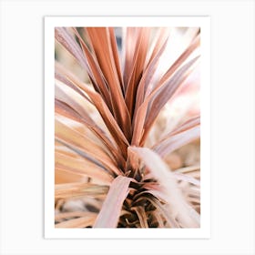 Pink Agave Leaves // Ibiza Nature Photography Art Print