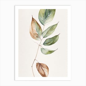 Wild Sarsaparilla Leaf Minimalist Watercolour 2 Art Print