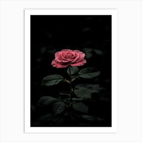 Dark Rose 121 Art Print