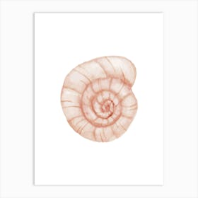 Watercolor Seashell 3 Art Print