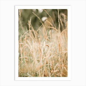 Grassy Field Art Print