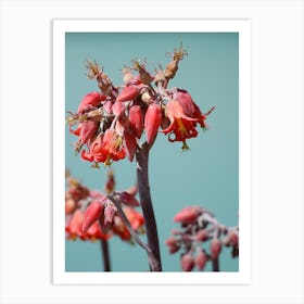 Flamingo flowers  Art Print