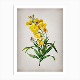 Vintage Cheiranthus Flower Botanical on Parchment n.0700 Art Print