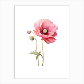 Watercolor Poppy Flower 2 Art Print