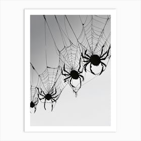 Spiders On A Web Art Print