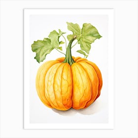 Delicata Squash Pumpkin Watercolour Illustration 2 Art Print