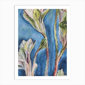 Endive 3 Classic vegetable Art Print