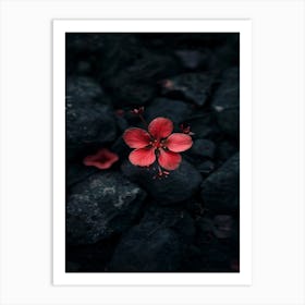 Dark Flower 21 Art Print