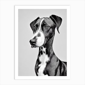 Bluetick Coonhound B&W Pencil Dog Art Print