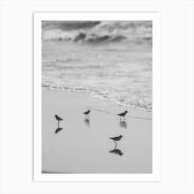 Birds On The Beach Art Print