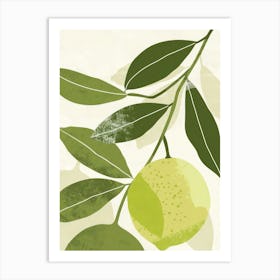 Limes Close Up Illustration 3 Art Print