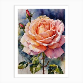 Hybrid Tea Rose Art Print