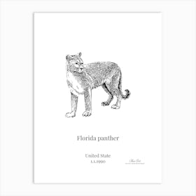 Florida Panther Art Print