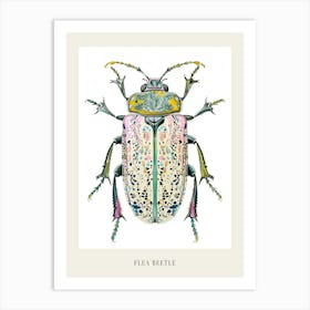 Colourful Insect Illustration Flea Beetle 20 Poster Art Print