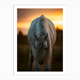 Horse bending down - Menen Belgium horse photo print - moody animal photography Art Print