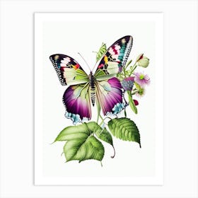 Butterfly On Plant Decoupage 1 Art Print