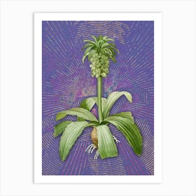 Vintage Eucomis Regia Botanical Illustration on Veri Peri n.0686 Art Print