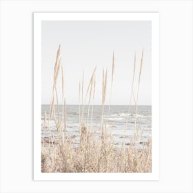 Beach Grass_2192486 Art Print