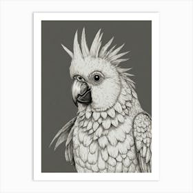 Cockatoo 6 Art Print