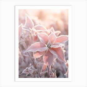 Frosty Botanical Poinsettia 2 Art Print