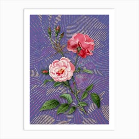Vintage Ever Blowing Rose Botanical Illustration on Veri Peri n.0443 Art Print
